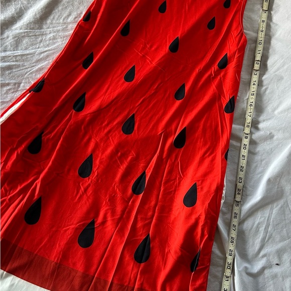 Women’s Watermelon Costume Dress, Size Medium - Picture 6 of 9